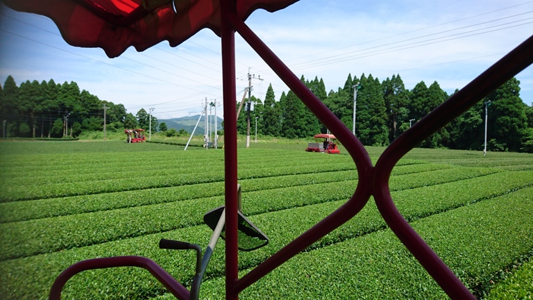 f:id:goemontea:20170610134654j:plain f:id:goemontea:20170610134654j:plain