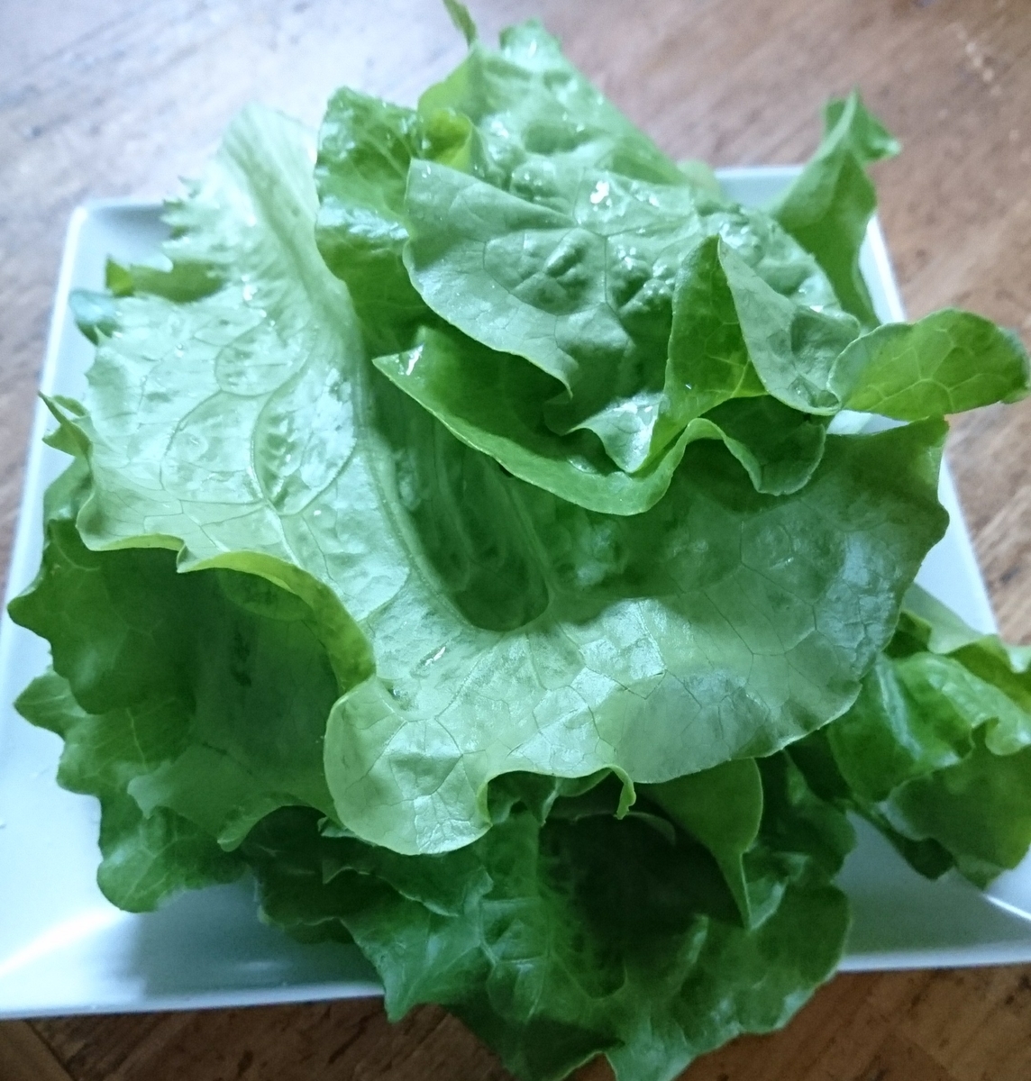 f:id:goemontea:20190509191132j:plain f:id:goemontea:20190509191132j:plain