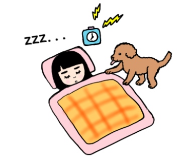 f:id:goensou:20190923234421j:plain f:id:goensou:20190923234421j:plain