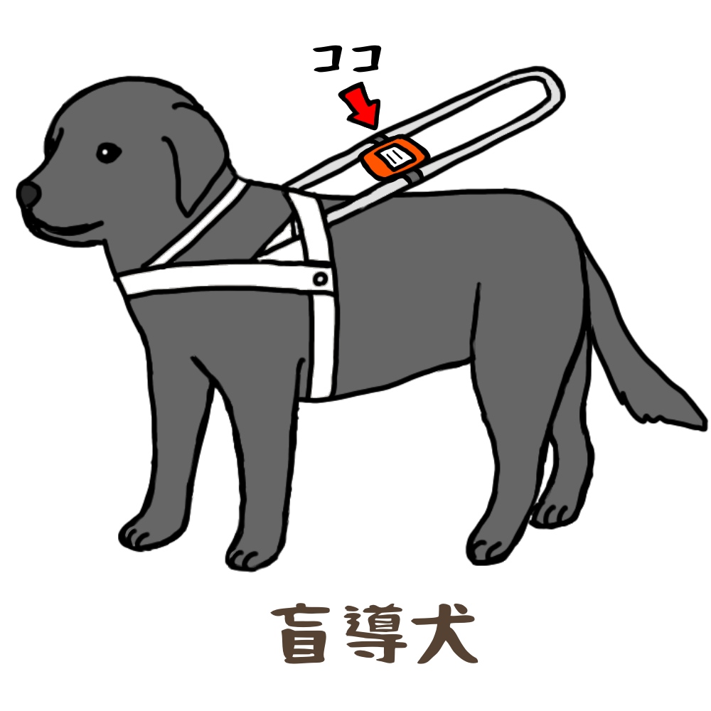 f:id:goensou:20190924101305j:plain f:id:goensou:20190924101305j:plain