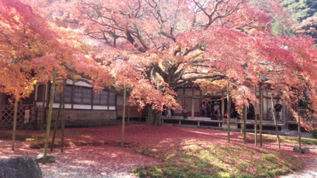 f:id:gofukumachi-dc:20141119114944j:image