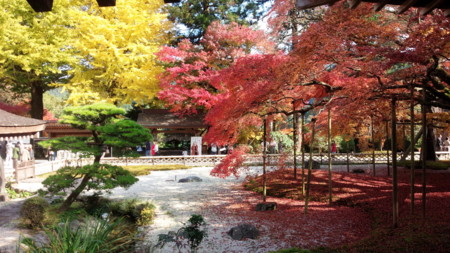 f:id:gofukumachi-dc:20141119125642j:image