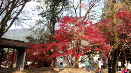 f:id:gofukumachi-dc:20141124123922j:image