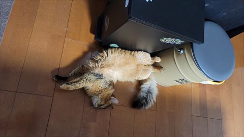 f:id:gofuutan:20210619234846j:plain