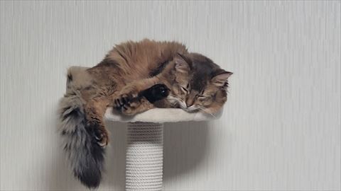 f:id:gofuutan:20210702181856j:plain