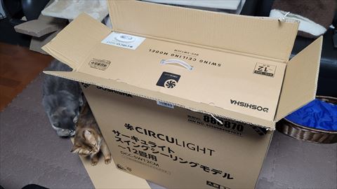 f:id:gofuutan:20210702181903j:plain