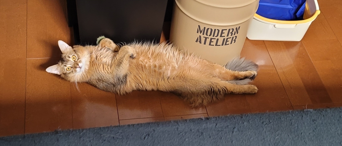 f:id:gofuutan:20210708002620j:plain