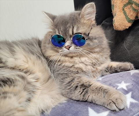 f:id:gofuutan:20210904232420j:plain