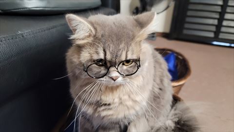 f:id:gofuutan:20210914230344j:plain