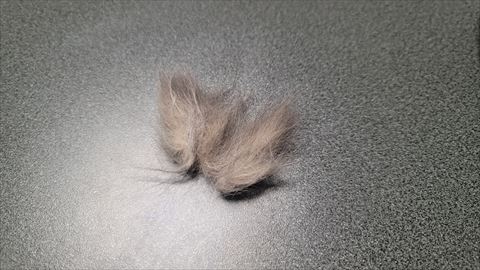 f:id:gofuutan:20210914230352j:plain