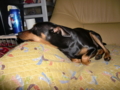 20100306102300