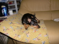 20100306102406