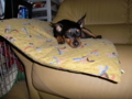 20100306102930