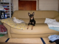 20100308160514