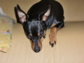 20100308160557