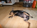 20100316193545
