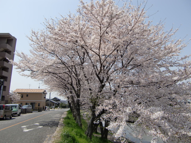 20100406114338
