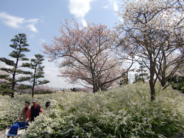 20100408124252