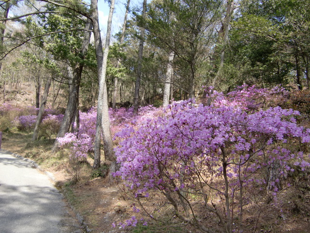 20100408124917