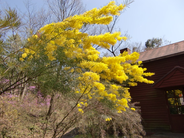 20100408131036