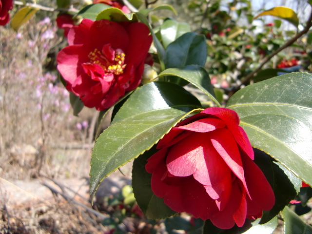 20100408133845