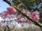 20100408143126