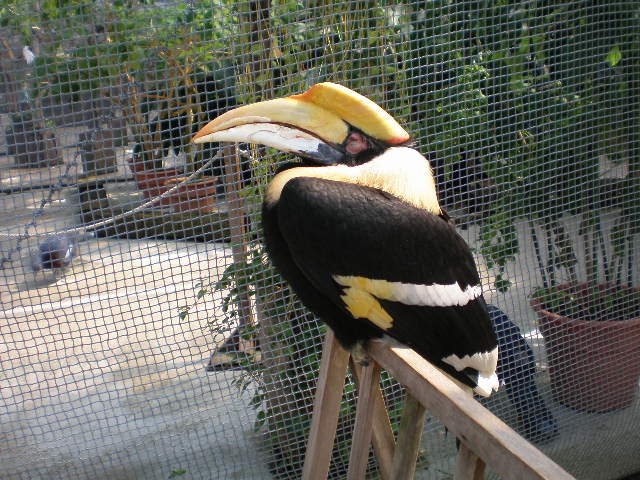 [花鳥園]