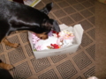 20100712081806