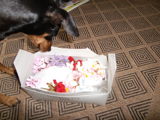 20100712081902