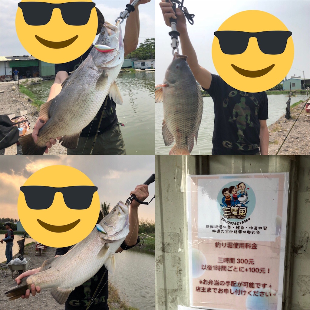 f:id:gogobcaa:20190306203957j:image