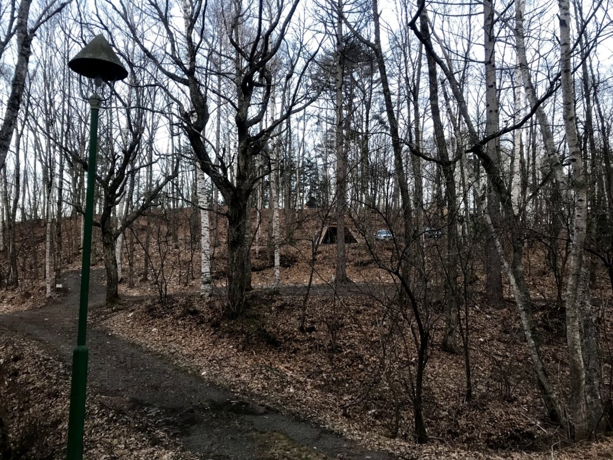 f:id:gogocamp:20190511204228j:plain