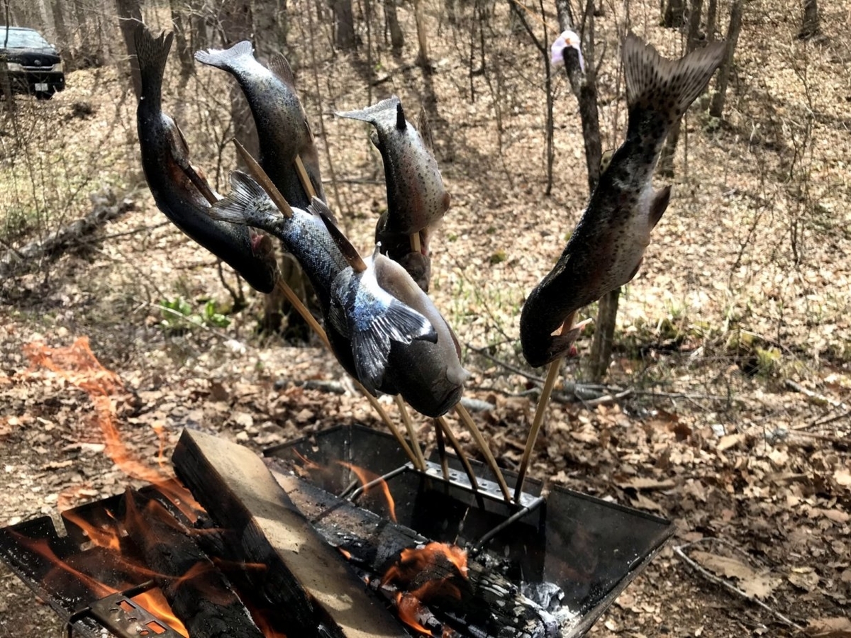 f:id:gogocamp:20190511211216j:plain