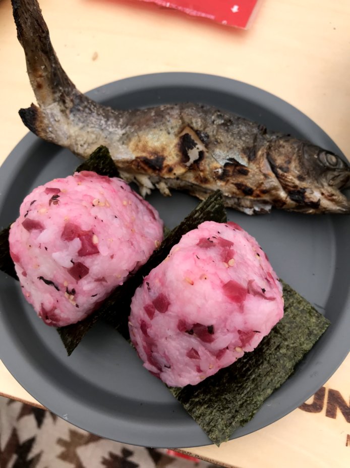 f:id:gogocamp:20190511211508j:plain