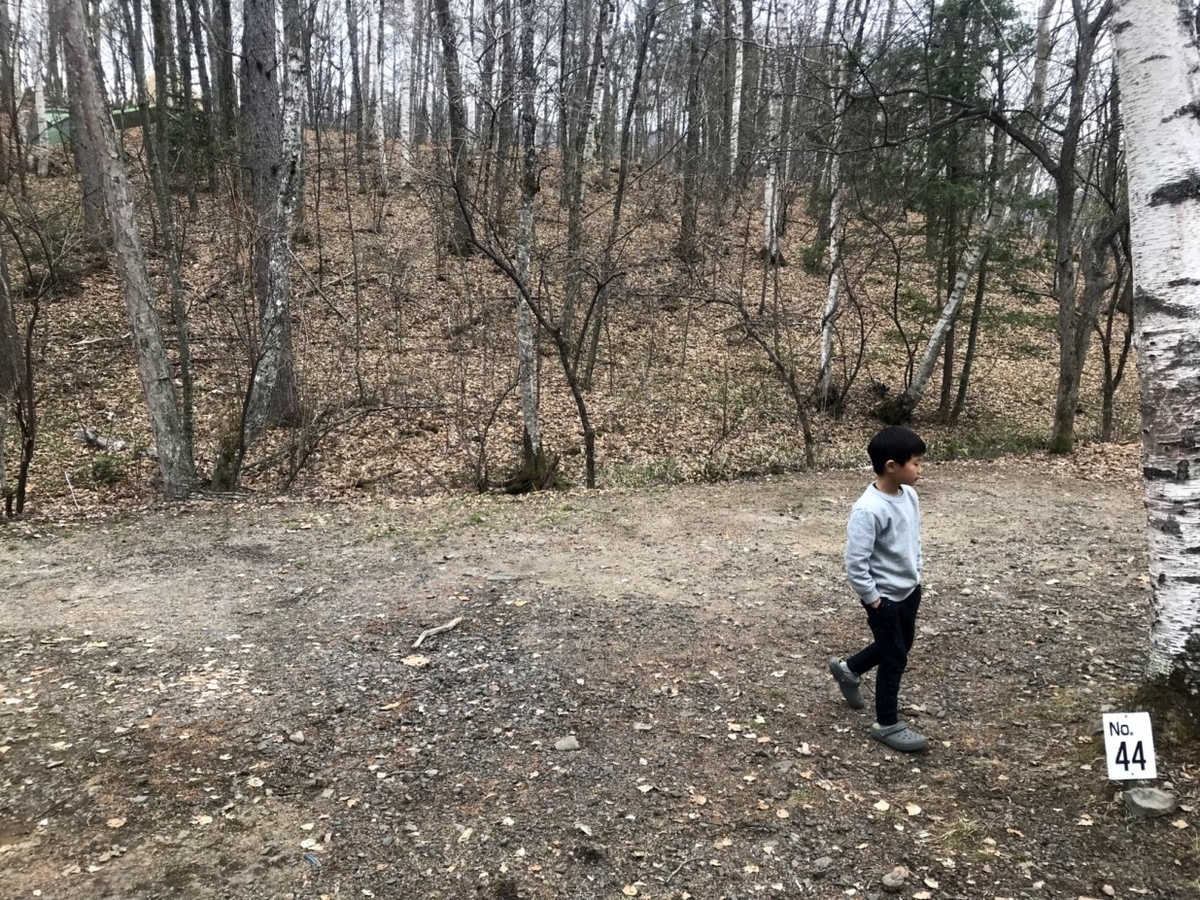 f:id:gogocamp:20190511221426j:plain