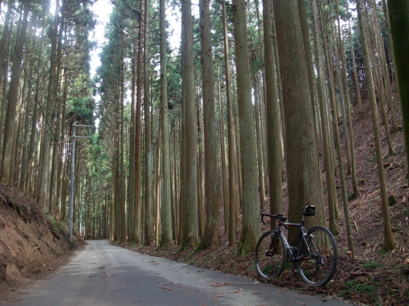 f:id:gogocycling:20100403102739j:image:w500