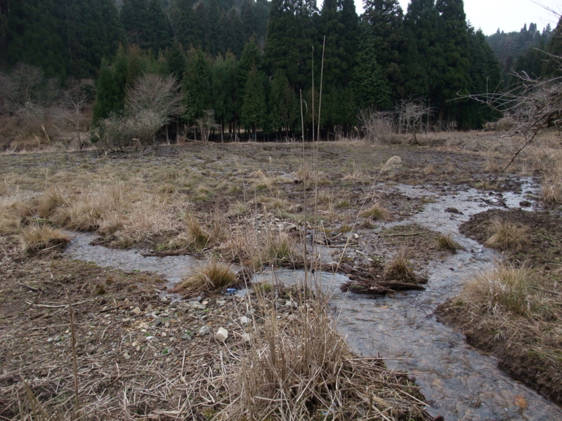 f:id:gogocycling:20100403105154j:image:w500
