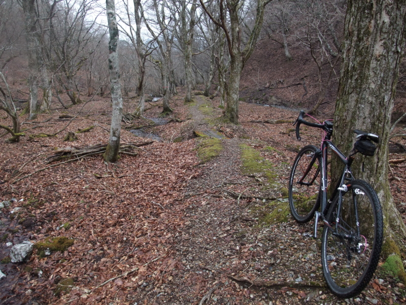 f:id:gogocycling:20100403113555j:image:w500