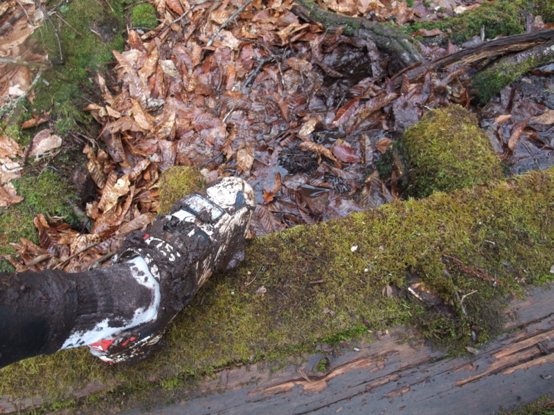 f:id:gogocycling:20100403115302j:image:w300