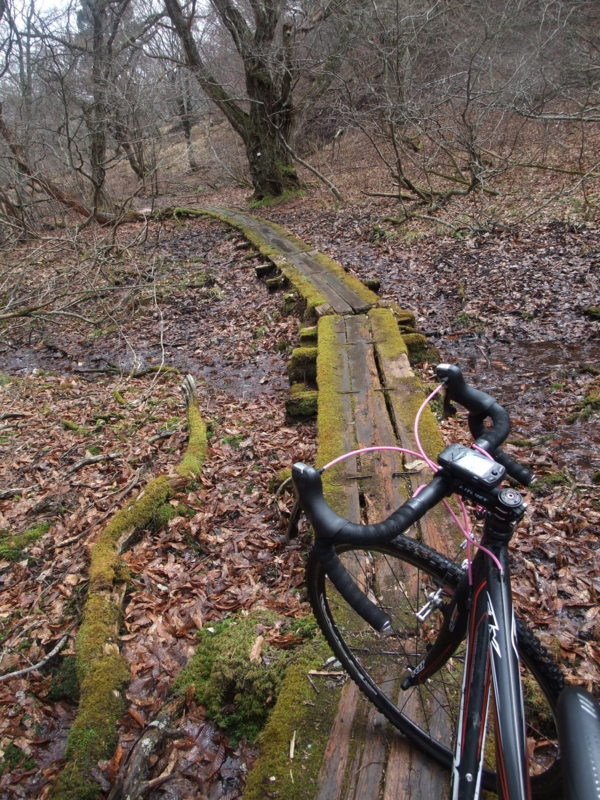 f:id:gogocycling:20100403115325j:image:h500