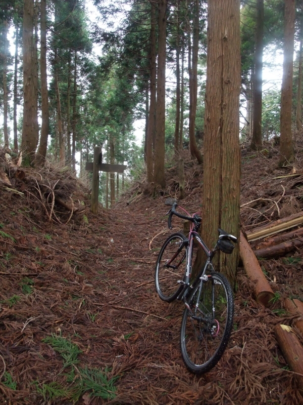 f:id:gogocycling:20100403120818j:image:h500