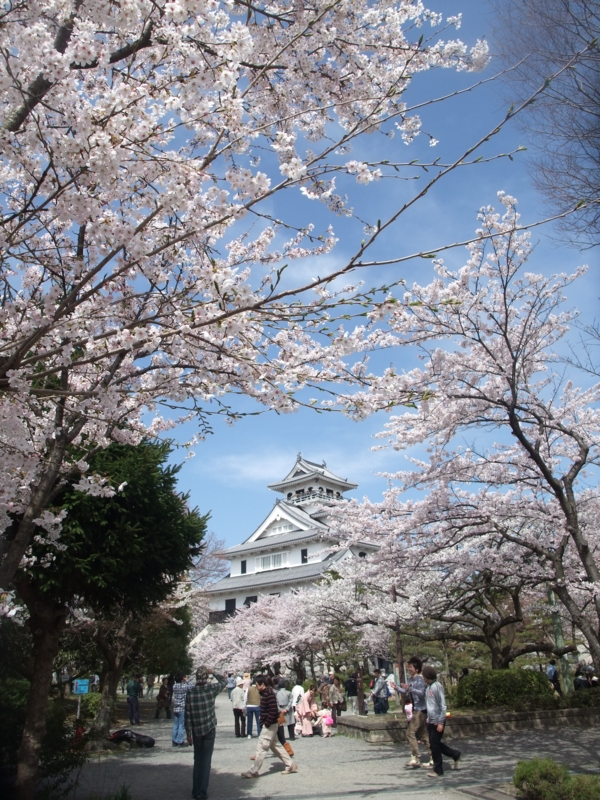 f:id:gogocycling:20100410095642j:image:h500