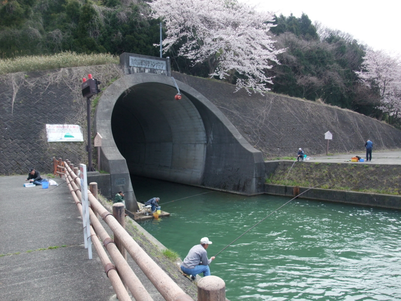 f:id:gogocycling:20100410103157j:image:w600