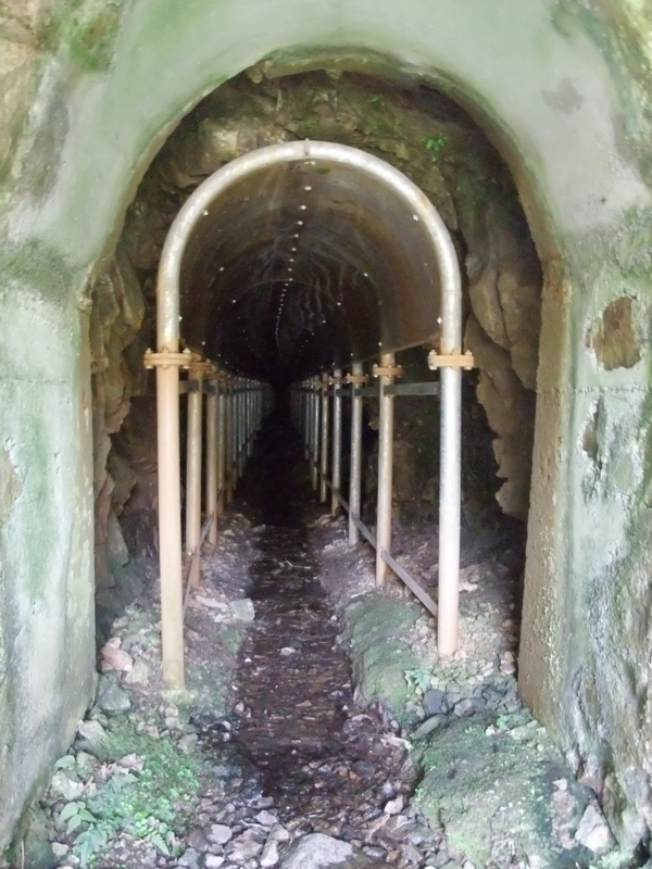 f:id:gogocycling:20100410103321j:image:h300