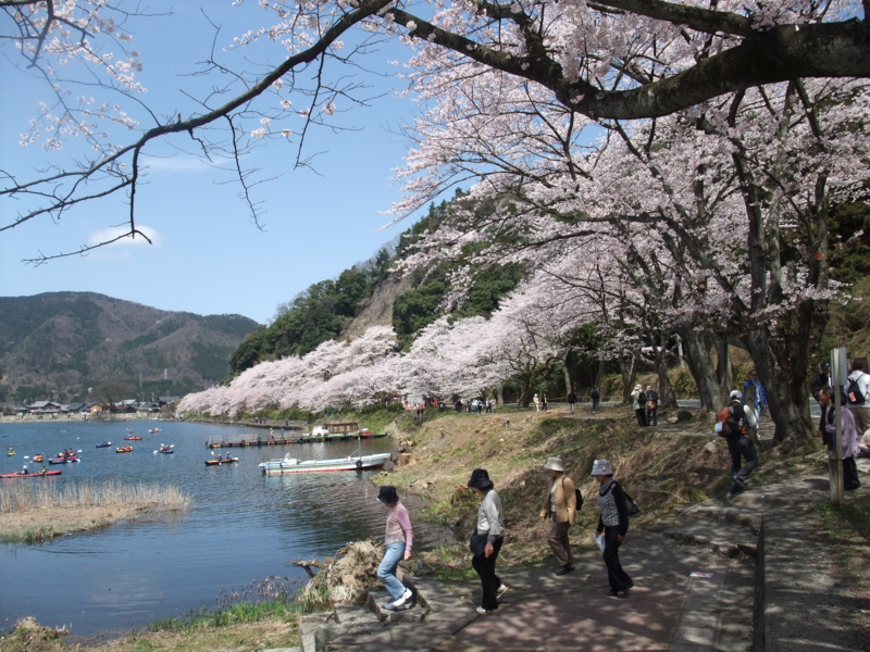 f:id:gogocycling:20100410114710j:image:w600