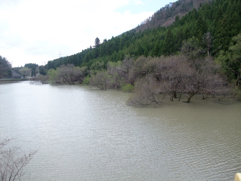 f:id:gogocycling:20100424152223j:image:w600