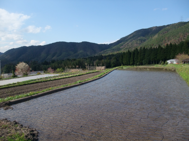 f:id:gogocycling:20100424153451j:image:w600