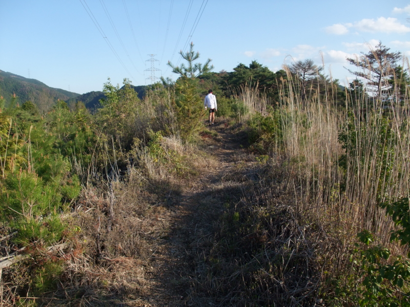 f:id:gogocycling:20100424170914j:image:w600