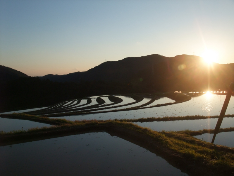 f:id:gogocycling:20100424180919j:image