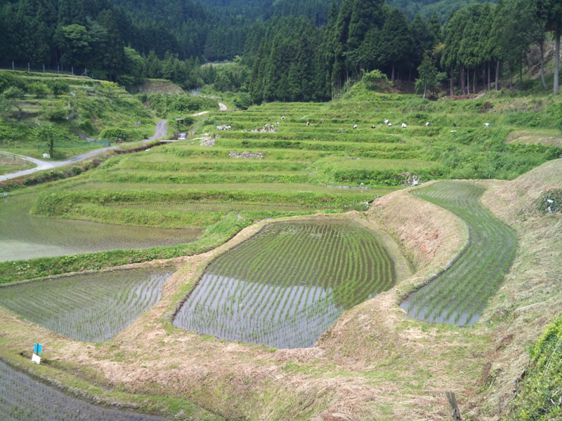 f:id:gogocycling:20100606100214j:image