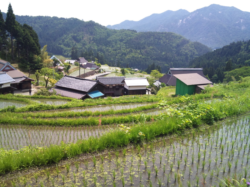 f:id:gogocycling:20100606103426j:image